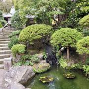 1er nov: Visite des sites de Kamakura