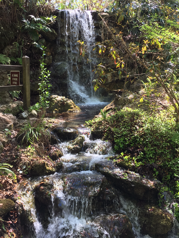 16 mars:  Rainbow Springs State Park