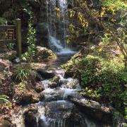 16 mars:  Rainbow Springs State Park