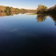 19 mars: Manatee Springs State Park