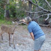 19 mars: Manatee Springs State Park