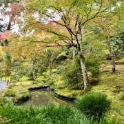 5 nov: Temple Tenryu-ji