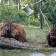 San Diego Zoo