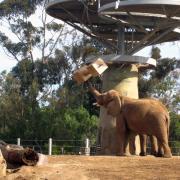 San Diego Zoo