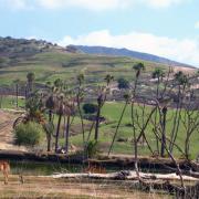 San Diego Safari Park