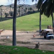 San Diego Safari Park