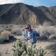 Anza-Borrego State Park