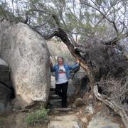 Palm Canyon Trail Anza-Borrego State Park