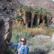 Palm Canyon Trail Anza-Borrego State Park