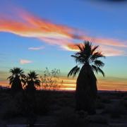 Levée du soleil Anza-Borrego State Park