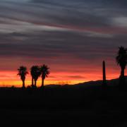 Levée du soleil Anza-Borrego State Park