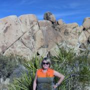 Indian Cove campground, Joshua Tree National Park