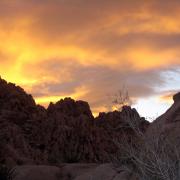 Couchée de soleil, Joshua Tree National Park