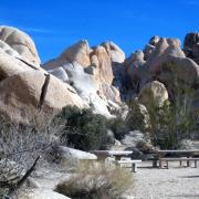 Indian Cove campground, Joshua Tree National Park