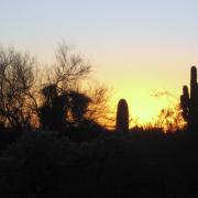 Usury Mountain Regional Park, Arizona