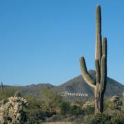 Usury Mountain Regional Park, Arizona