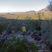 Picacho Peak State Park