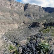 Dog Canyon Trail, Oliver Lee State Park