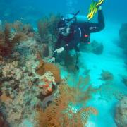 Looe Key National Marine Sanctuary, Florida