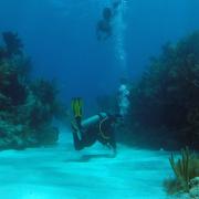 Looe Key Marine Sanctuary