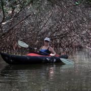 Curry Hammock State Park