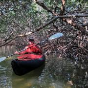 Curry Hammock State Park