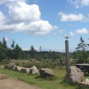 Parc National Cap Breton Skyline Trail