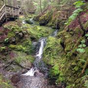 Fundy National Park