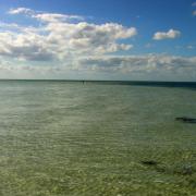 Marche sur l'eau!/Walking on water!