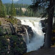 Athabasca Falls, Jasper