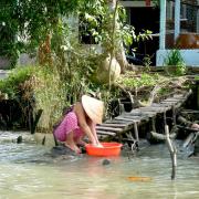 Mekong Delta: Journée de lavage/Washing day