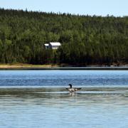 Août 2019: Sur le réservoir Gouin