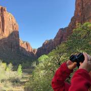 Zion Ntl Park, Utah avr 17