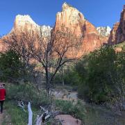 Zion Ntl Park, Utah avr 17