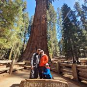 Sequoia Ntl Park, Calif  avr 29