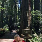 Muir Woods Ntl Monument, Calif mai 04