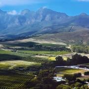 Winelands