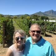 Vignoble dans Winelands