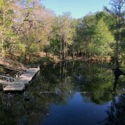 24mars: O'Leno State Park