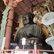 5 nov: Nara: le grand Buddha au Temple Todai-ji 