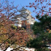 9 nov: Himeji