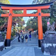 6 nov: Fushimi Inari