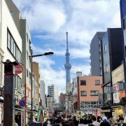 30oct: Vue vers le Sky Tower