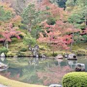 5 nov: Temple Tenryu-ji