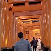 6 nov: Fushimi Inari