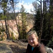 Grand Canyon of Yellowstone