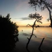 Fort de Soto site 206