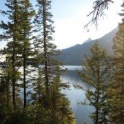 Jenny Lake