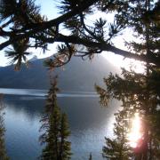 Jenny Lake