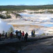 Norris Geyser Basin